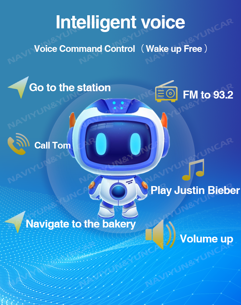 Car multimedia manufacturer
